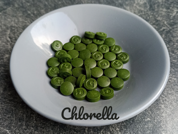 Chlorella