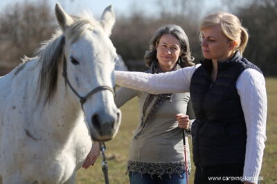 Daniela Tejkalová a kone