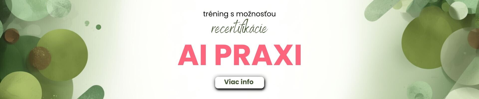 AI v Praxi
