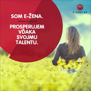 Ako preniesť aktivity E-žien do rôznych kútov Slovenska Ako preniesť aktivity E-žien do rôznych kútov Slovenska