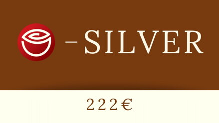 E-ženy Silver